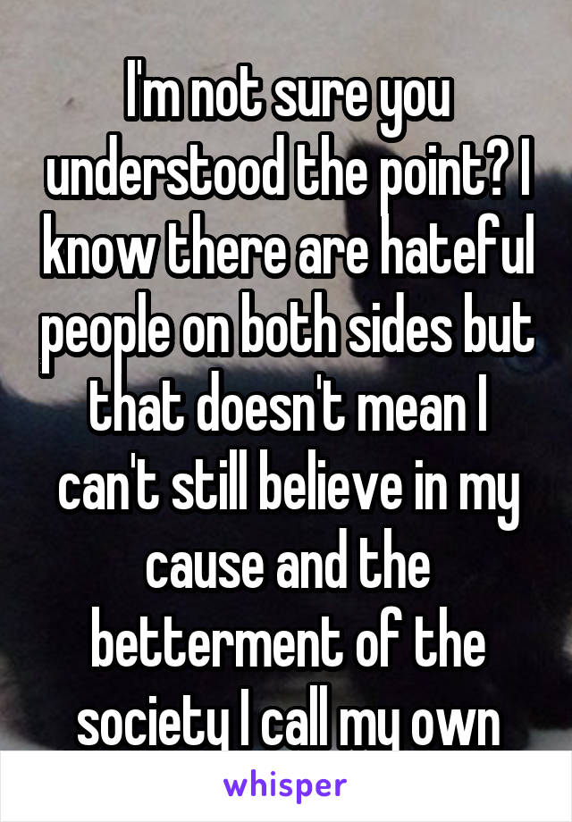 I'm not sure you understood the point? I know there are hateful people on both sides but that doesn't mean I can't still believe in my cause and the betterment of the society I call my own