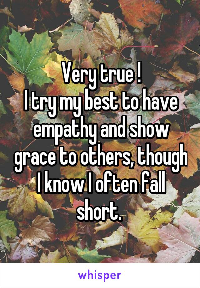 Very true !
I try my best to have empathy and show grace to others, though I know I often fall short. 