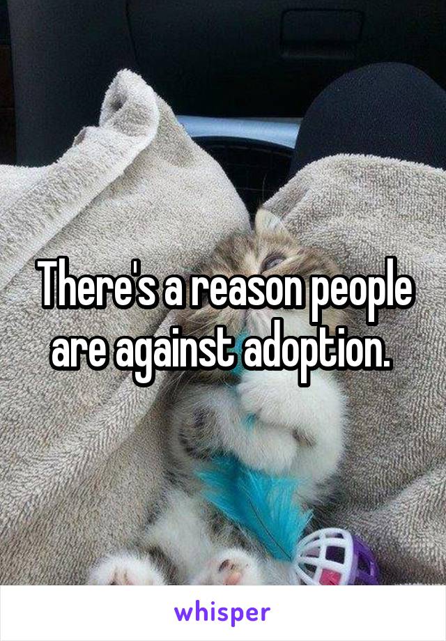 There's a reason people are against adoption. 