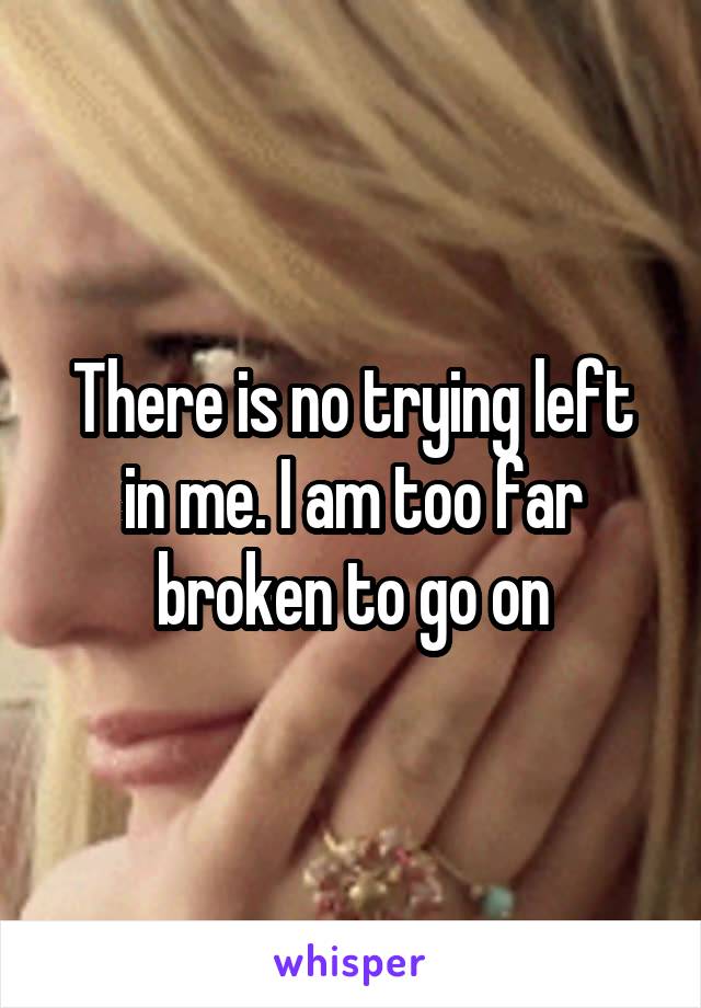 There is no trying left in me. I am too far broken to go on