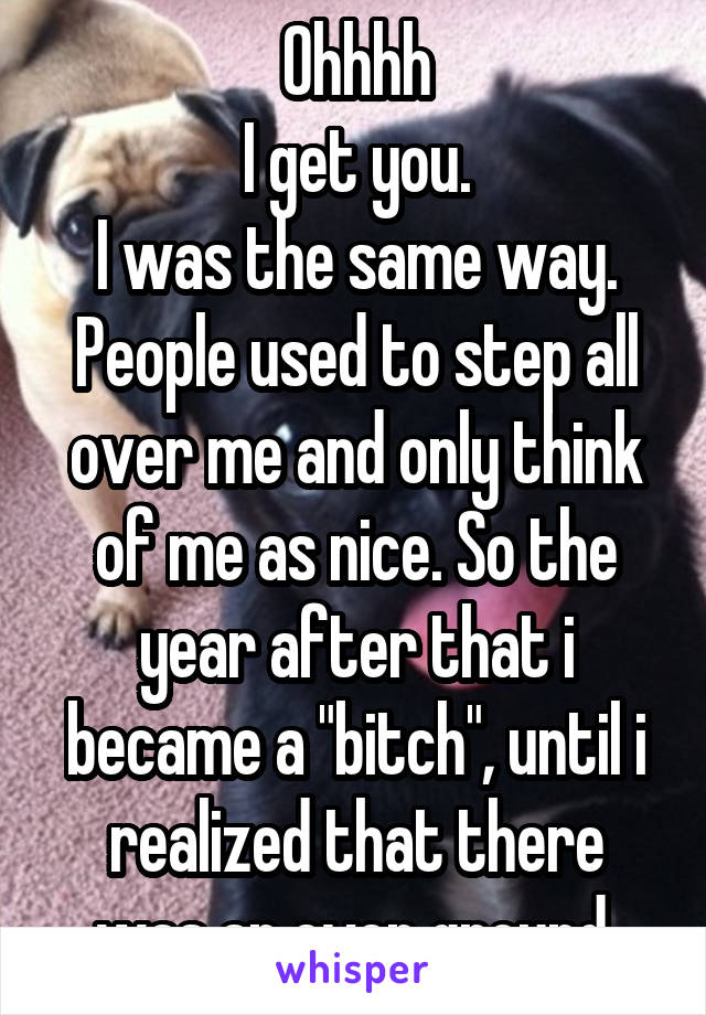 Ohhhh
I get you.
I was the same way.
People used to step all over me and only think of me as nice. So the year after that i became a "bitch", until i realized that there was an even ground.