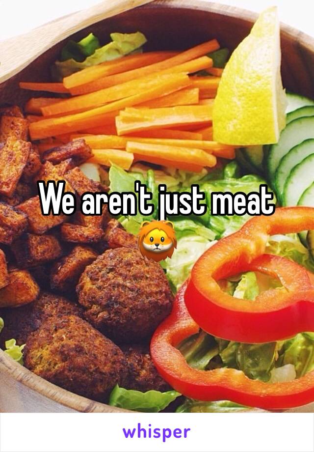 We aren't just meat
🦁