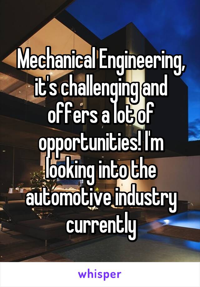 Mechanical Engineering, it's challenging and offers a lot of opportunities! I'm looking into the automotive industry currently