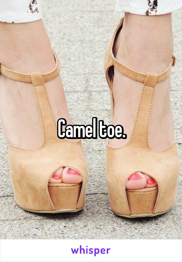 Camel toe.