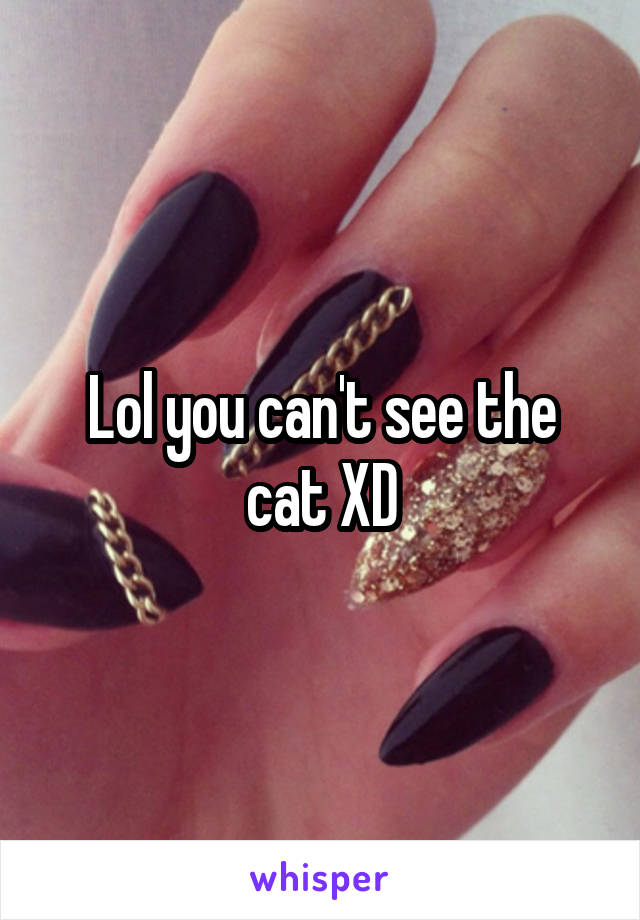 Lol you can't see the cat XD