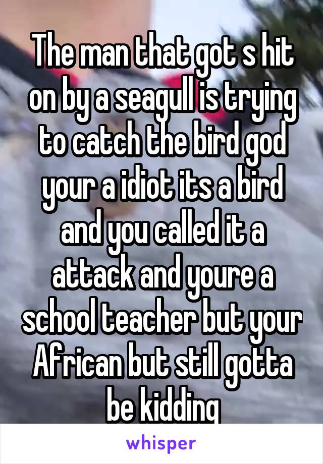 The man that got s hit on by a seagull is trying to catch the bird god your a idiot its a bird and you called it a attack and youre a school teacher but your African but still gotta be kidding