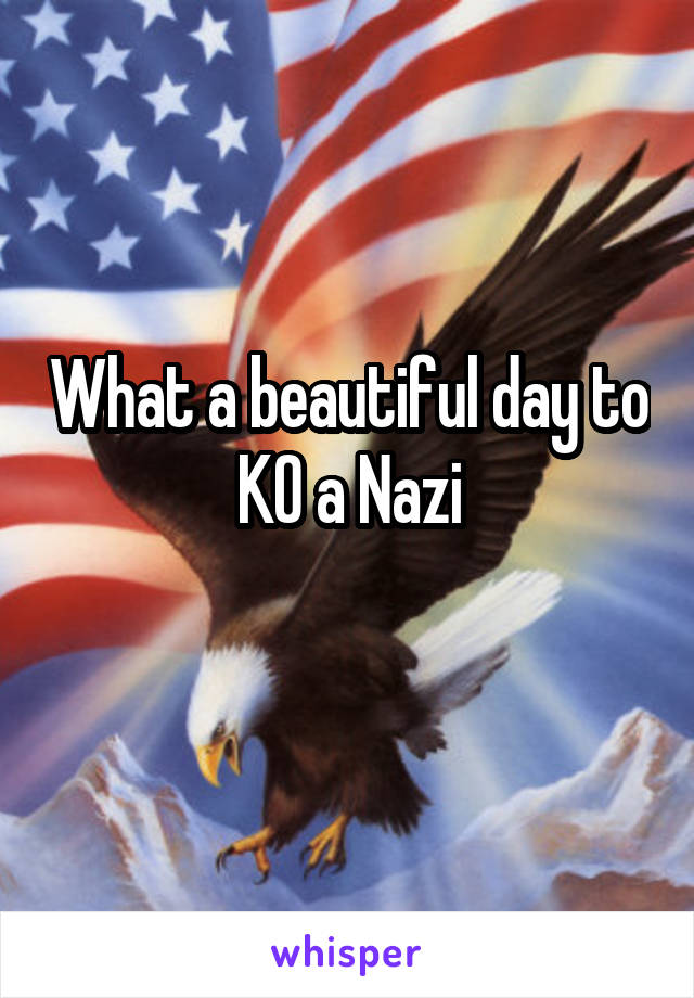 What a beautiful day to KO a Nazi
