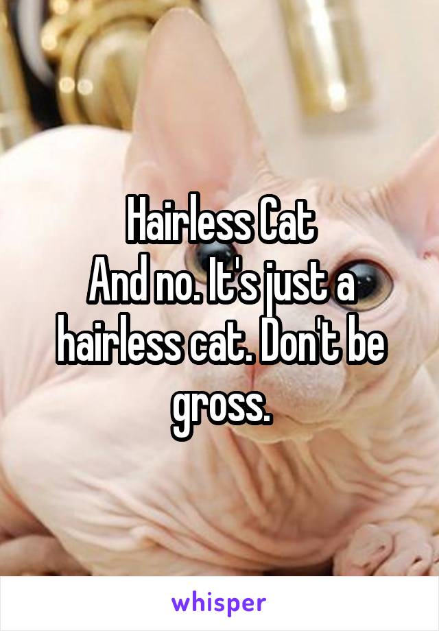 Hairless Cat
And no. It's just a hairless cat. Don't be gross.