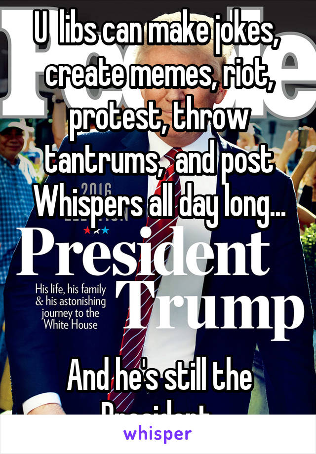 U  libs can make jokes,  create memes, riot, protest, throw tantrums,  and post Whispers all day long...



And he's still the President.