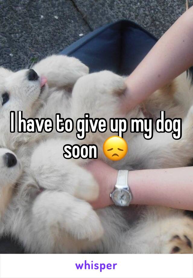 I have to give up my dog soon 😞