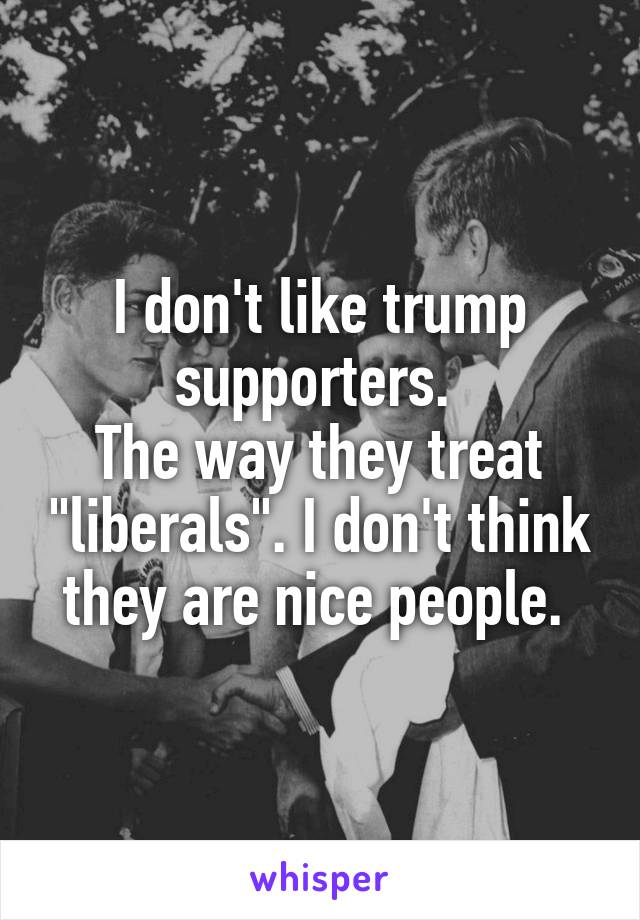 I don't like trump supporters. 
The way they treat "liberals". I don't think they are nice people. 