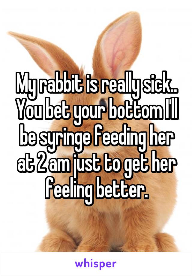 My rabbit is really sick.. You bet your bottom I'll be syringe feeding her at 2 am just to get her feeling better.