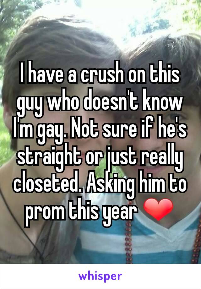 I have a crush on this guy who doesn't know I'm gay. Not sure if he's straight or just really closeted. Asking him to prom this year ❤