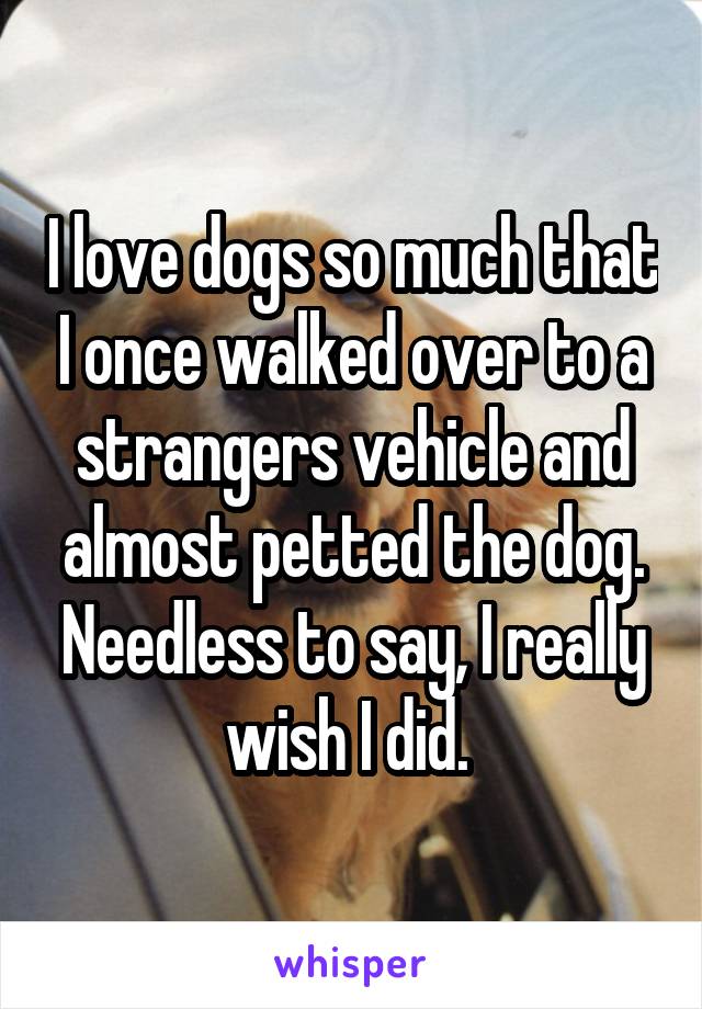 I love dogs so much that I once walked over to a strangers vehicle and almost petted the dog. Needless to say, I really wish I did. 