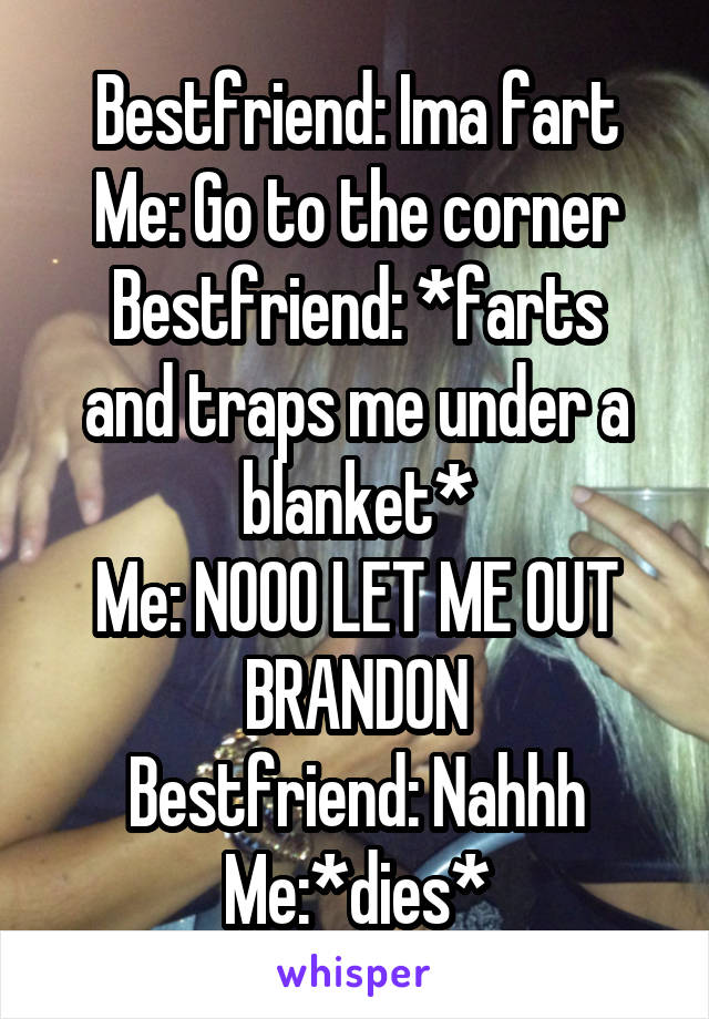 Bestfriend: Ima fart
Me: Go to the corner
Bestfriend: *farts and traps me under a blanket*
Me: NOOO LET ME OUT BRANDON
Bestfriend: Nahhh
Me:*dies*