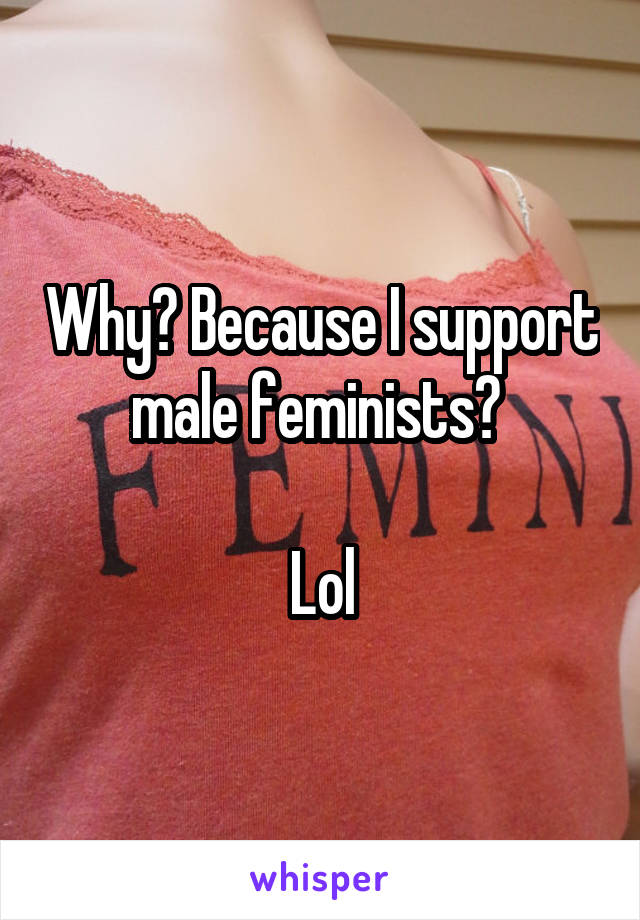 Why? Because I support male feminists? 

Lol