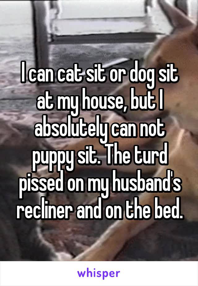 I can cat sit or dog sit at my house, but I absolutely can not puppy sit. The turd pissed on my husband's recliner and on the bed.