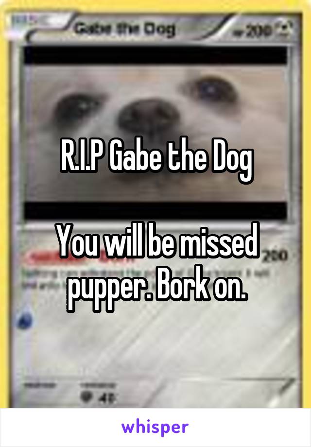 R.I.P Gabe the Dog

You will be missed pupper. Bork on.