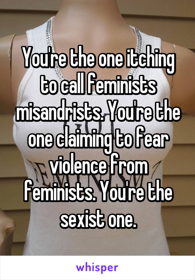 You're the one itching to call feminists misandrists. You're the one claiming to fear violence from feminists. You're the sexist one.