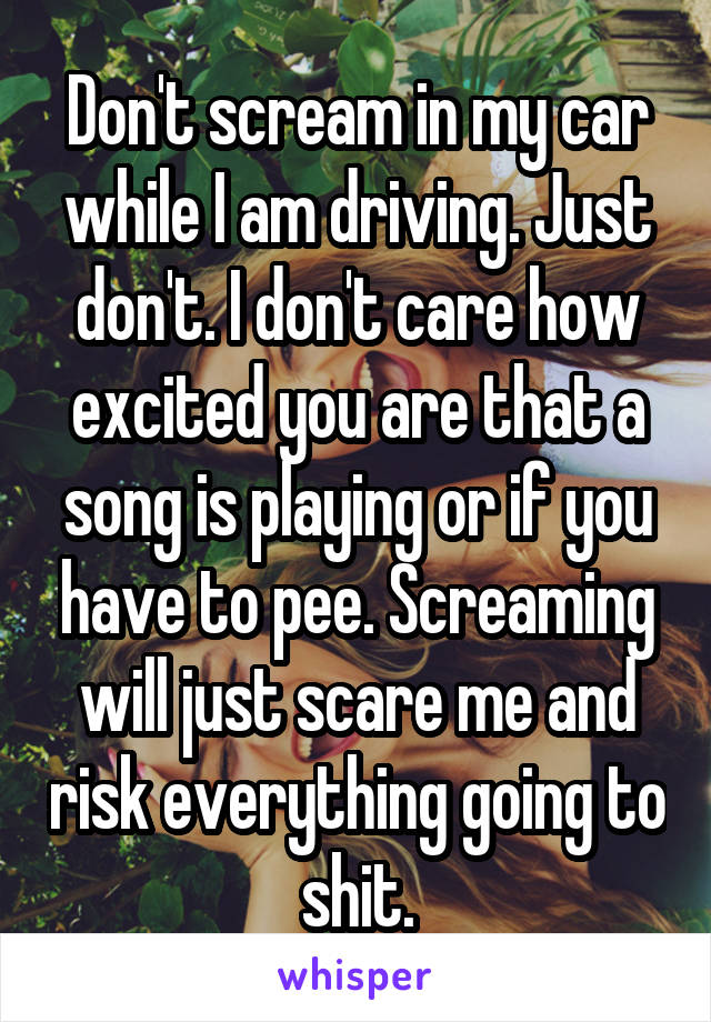 Don't scream in my car while I am driving. Just don't. I don't care how excited you are that a song is playing or if you have to pee. Screaming will just scare me and risk everything going to shit.