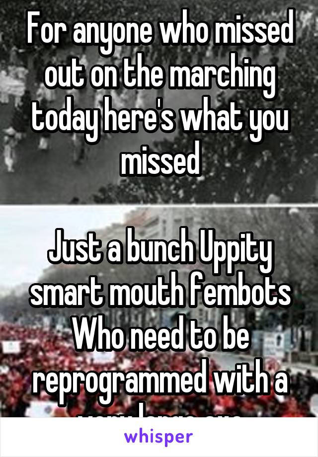 For anyone who missed out on the marching today here's what you missed

Just a bunch Uppity smart mouth fembots Who need to be reprogrammed with a very large axe