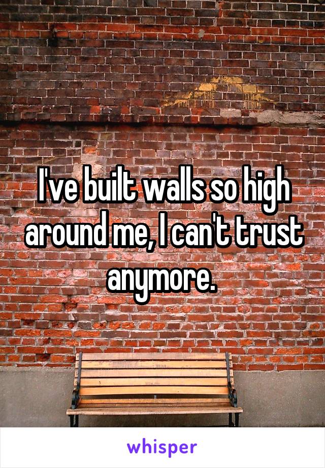 I've built walls so high around me, I can't trust anymore. 