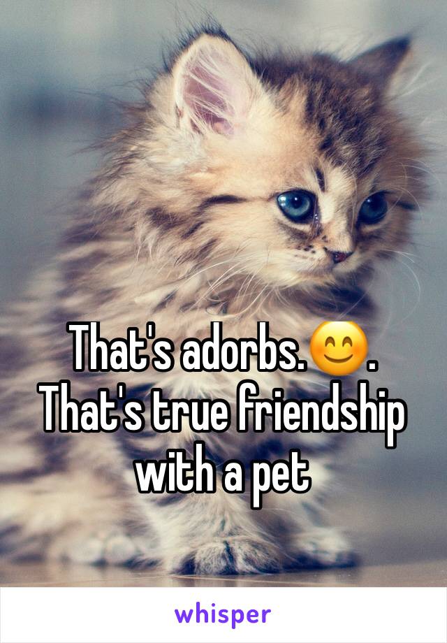 That's adorbs.😊. That's true friendship with a pet