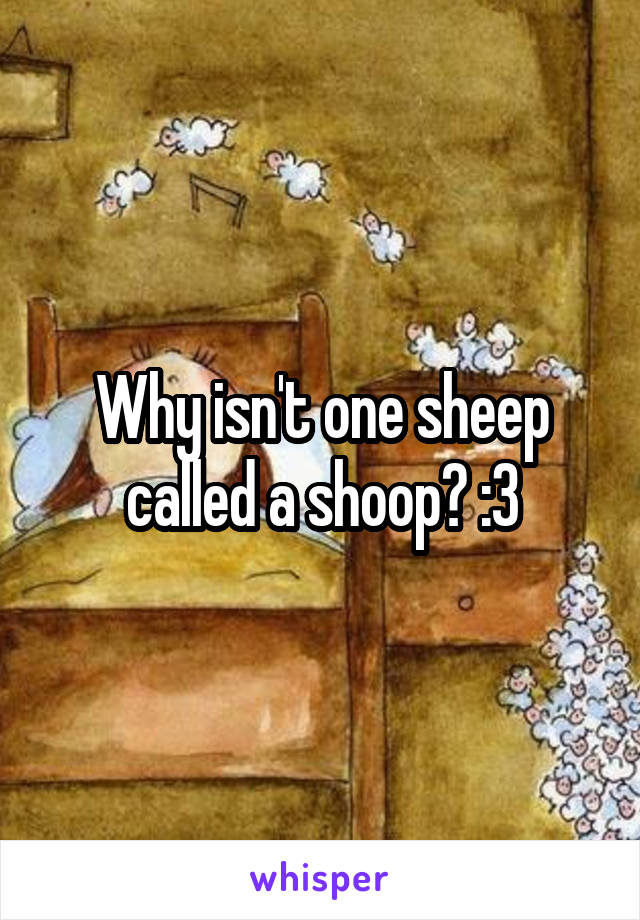 Why isn't one sheep called a shoop? :3