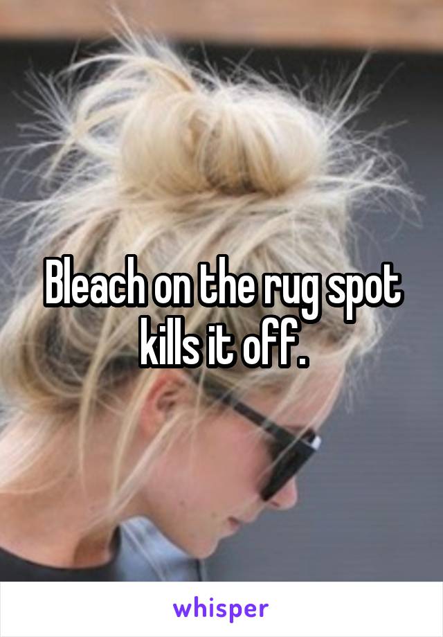 Bleach on the rug spot kills it off.