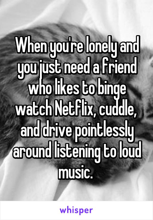 When you're lonely and you just need a friend who likes to binge watch Netflix, cuddle,  and drive pointlessly around listening to loud music. 