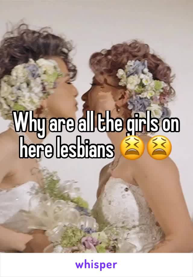 Why are all the girls on here lesbians 😫😫