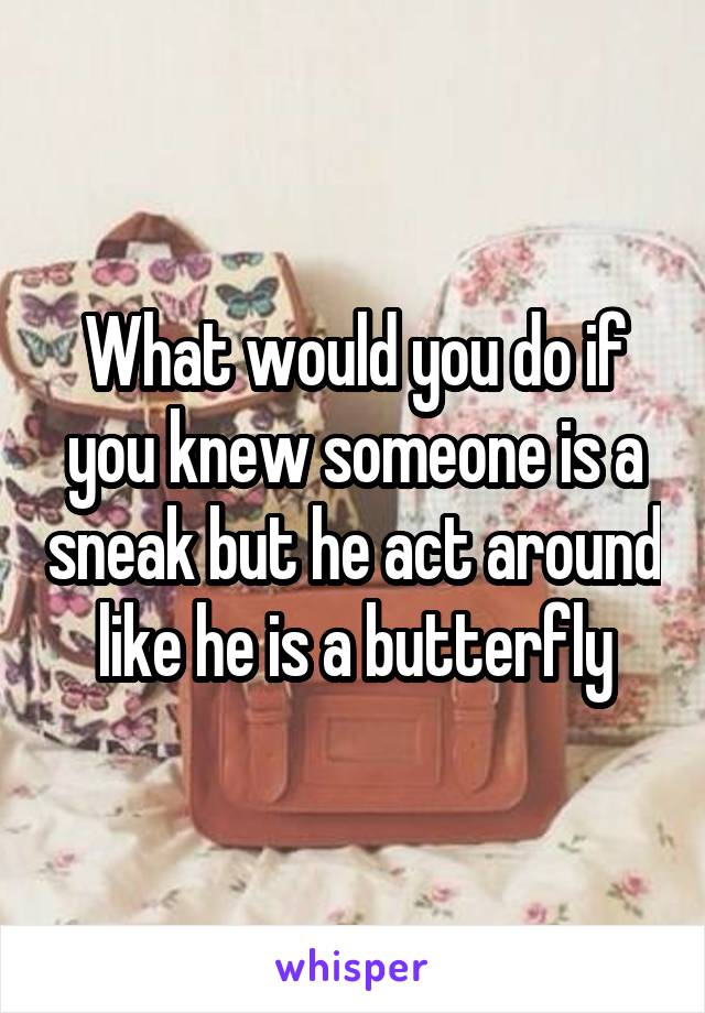 What would you do if you knew someone is a sneak but he act around like he is a butterfly