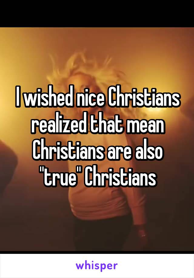 I wished nice Christians realized that mean Christians are also "true" Christians