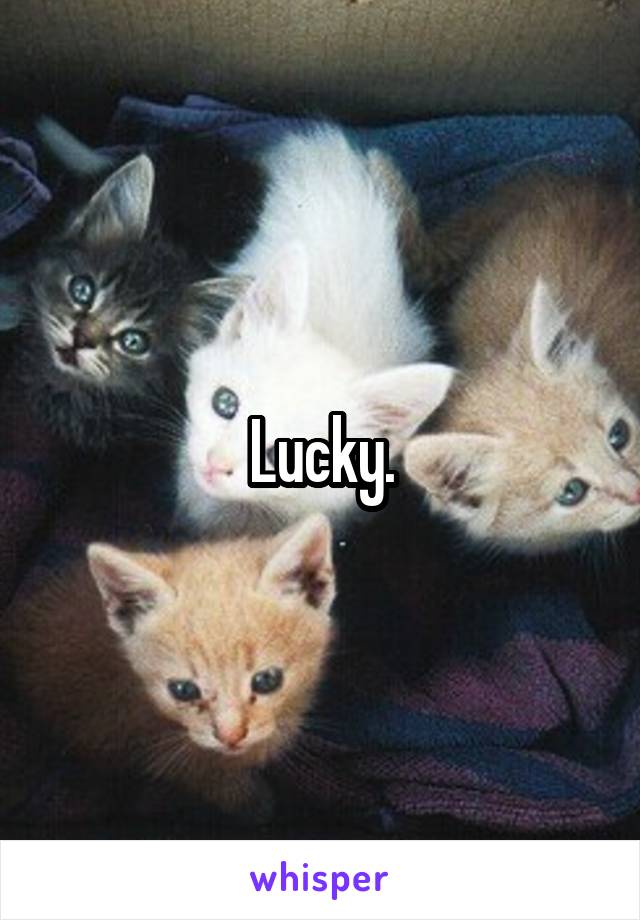 Lucky.