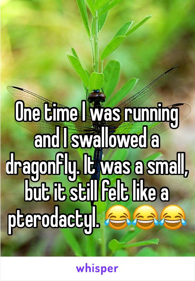 One time I was running and I swallowed a dragonfly. It was a small, but it still felt like a pterodactyl. 😂😂😂