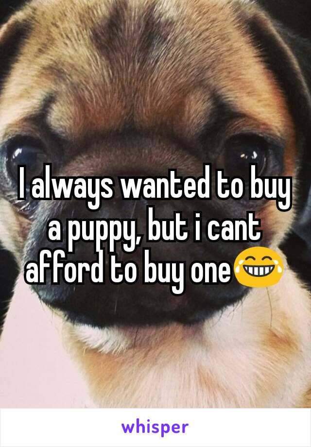 I always wanted to buy a puppy, but i cant afford to buy one😂