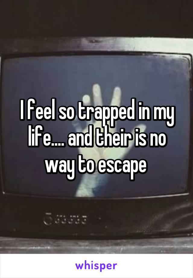 I feel so trapped in my life.... and their is no way to escape 