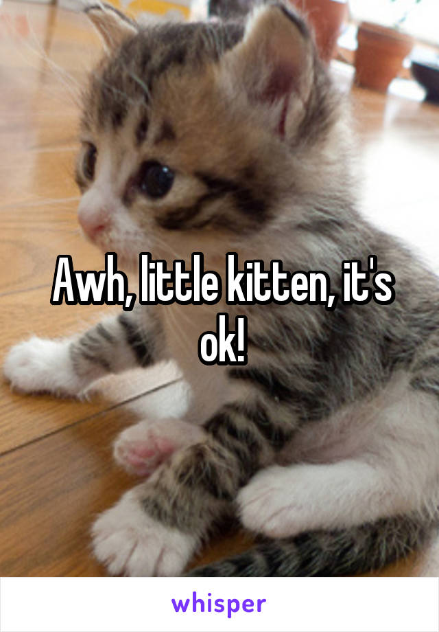 Awh, little kitten, it's ok!