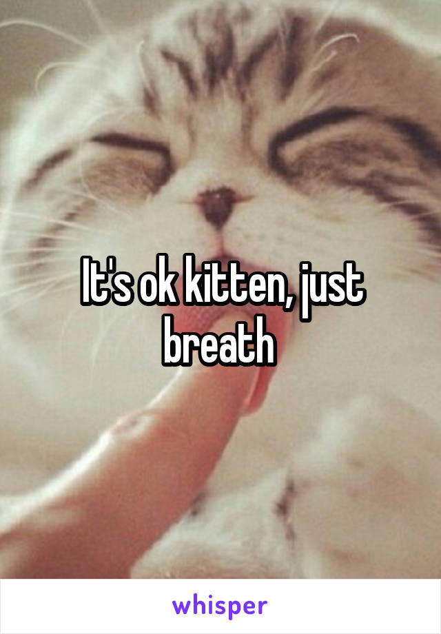 It's ok kitten, just breath 