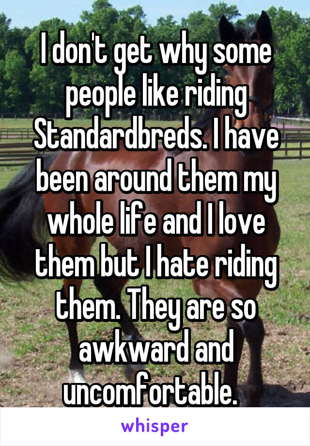 I don't get why some people like riding Standardbreds. I have been around them my whole life and I love them but I hate riding them. They are so awkward and uncomfortable.  