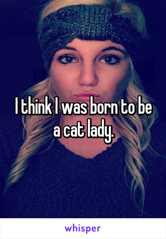 I think I was born to be a cat lady.