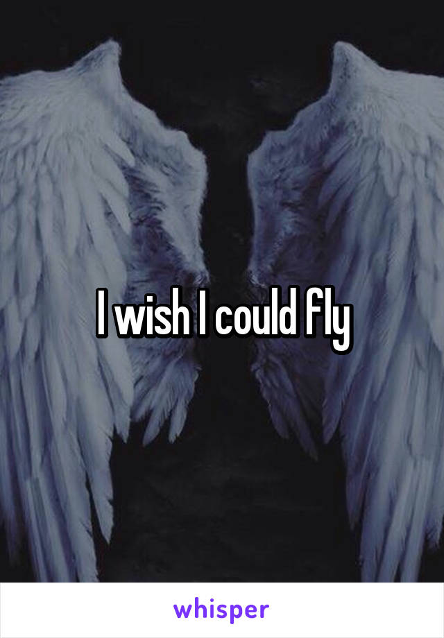 I wish I could fly