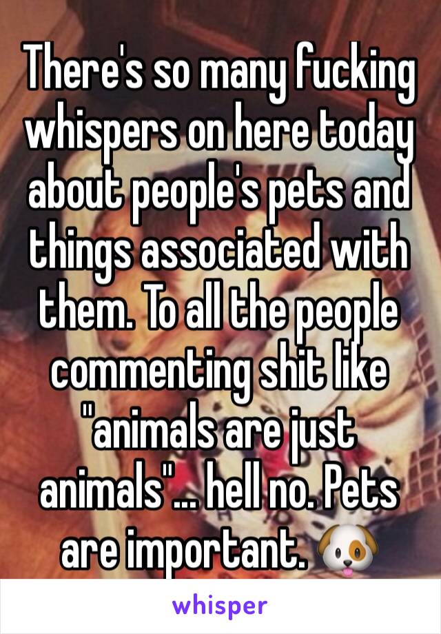 There's so many fucking whispers on here today about people's pets and things associated with them. To all the people commenting shit like "animals are just animals"... hell no. Pets are important. 🐶