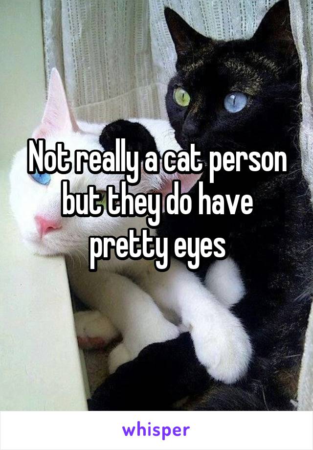 Not really a cat person but they do have pretty eyes
