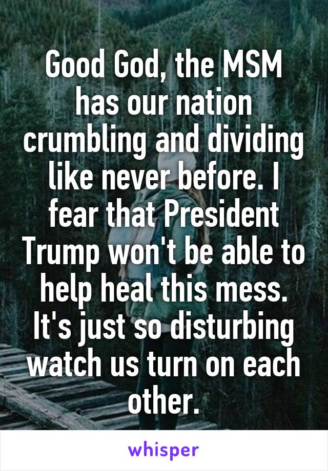 Good God, the MSM has our nation crumbling and dividing like never before. I fear that President Trump won't be able to help heal this mess. It's just so disturbing watch us turn on each other.