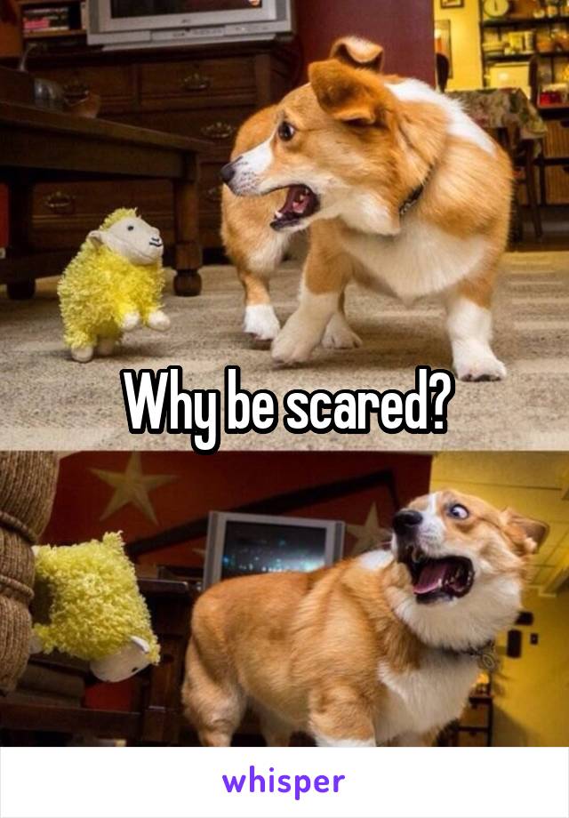 Why be scared?