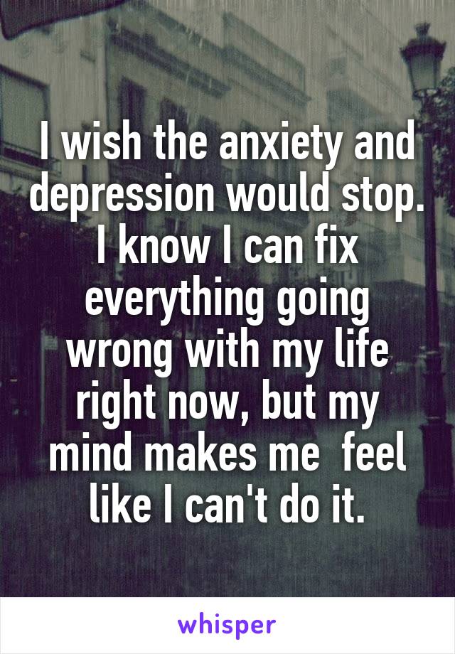 I wish the anxiety and depression would stop. I know I can fix everything going wrong with my life right now, but my mind makes me  feel like I can't do it.