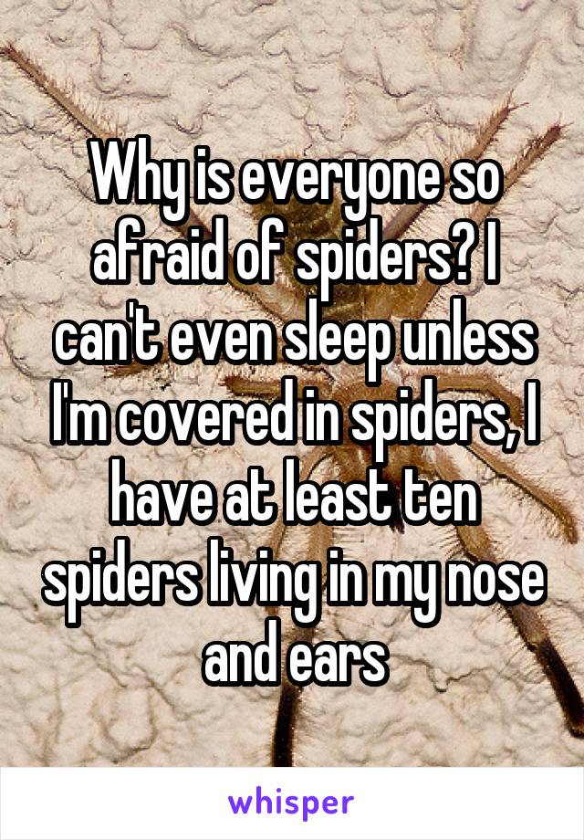 Why is everyone so afraid of spiders? I can't even sleep unless I'm covered in spiders, I have at least ten spiders living in my nose and ears