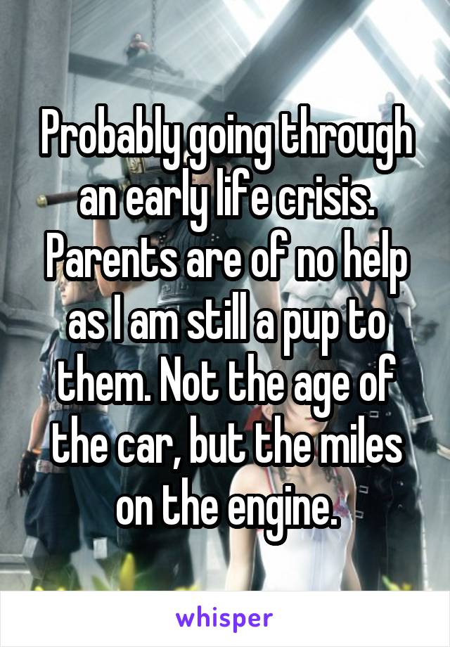 Probably going through an early life crisis. Parents are of no help as I am still a pup to them. Not the age of the car, but the miles on the engine.