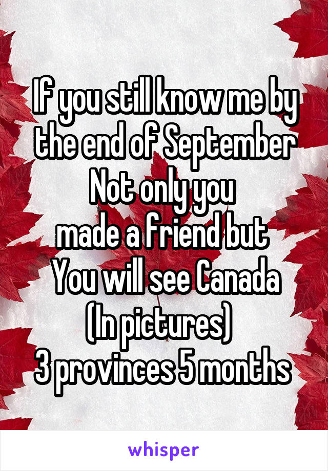 If you still know me by the end of September Not only you 
made a friend but 
You will see Canada
(In pictures)  
3 provinces 5 months 